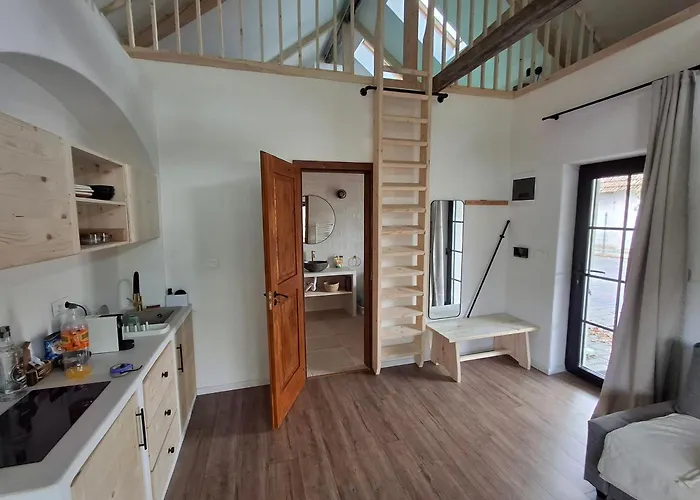 Merino Vendeghaz * Tiszabecs